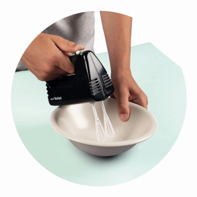 Mini fouet Tefal Express
