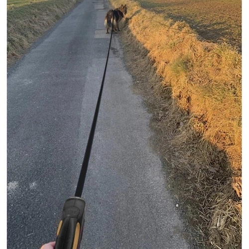 Laisse automatique pour chien 8m/50kg