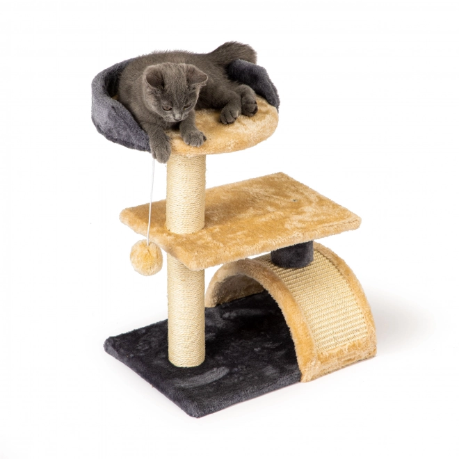 Arbre pour chats Petsi