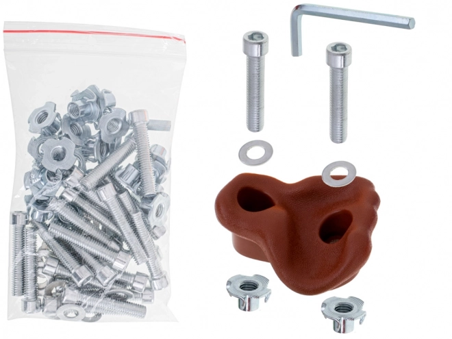 Prises d'escalade pour enfants 10pcs