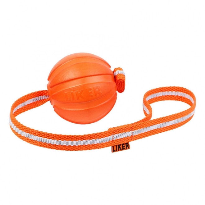 Balle sur corde pour chiots et petits chiens Liker Line 7 Waudog