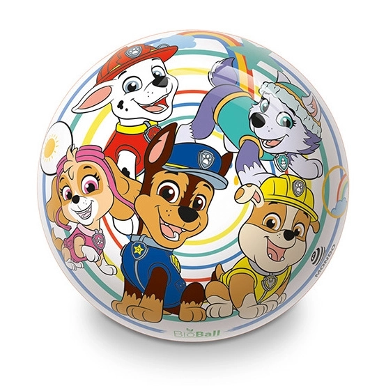 Balle colorée avec motif Paw Patrol pour enfants