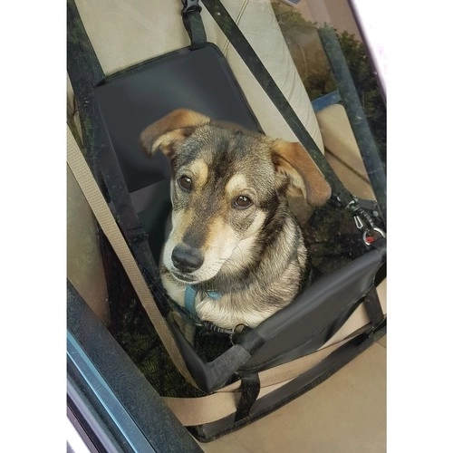 Boîte de transport Purlov pour animaux dans la voiture