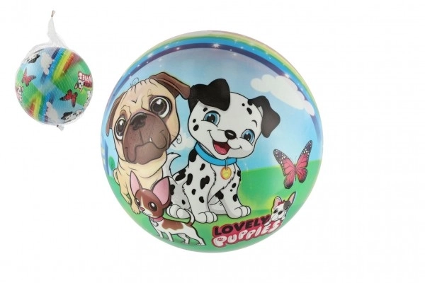 Balle chiens 23 cm