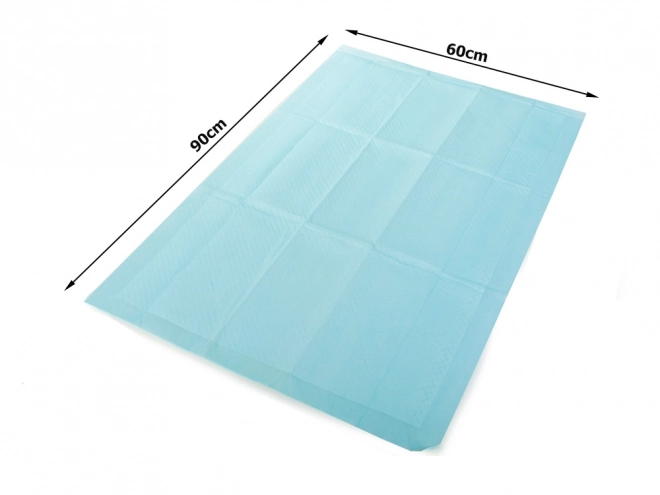 Tapis d'entraînement pour chiens 60x90 cm