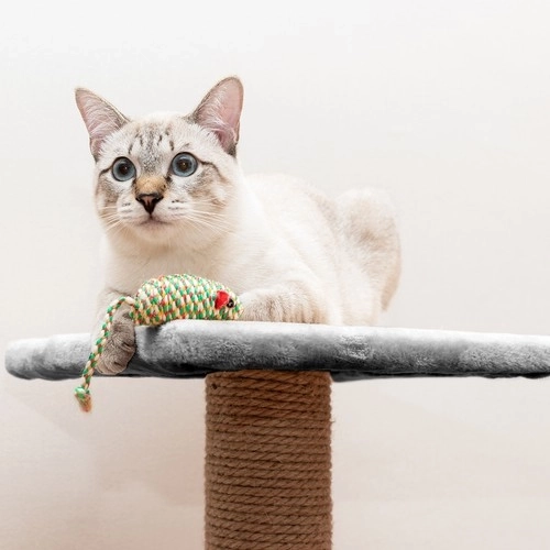 Arbre à chat Purlov 71 cm, gris