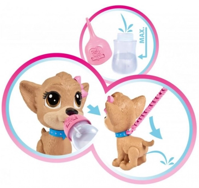 CCL Pejsek Chihuahua Pii Pii