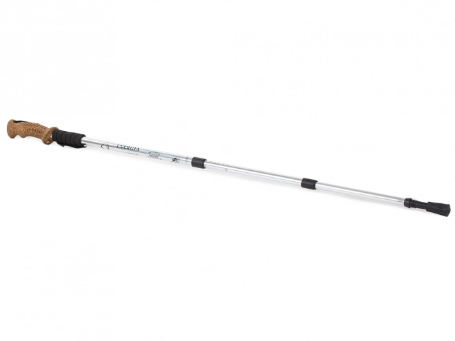 Bâtons de randonnée Nordic Walking bâtons en liège - 1 pièce – Argenté