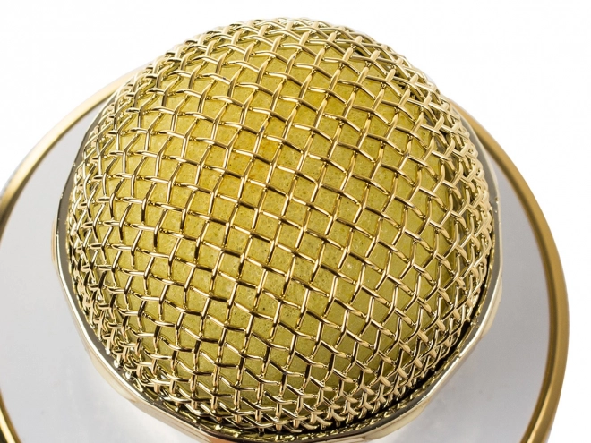 Microphone Bluetooth sans fil pour karaoké