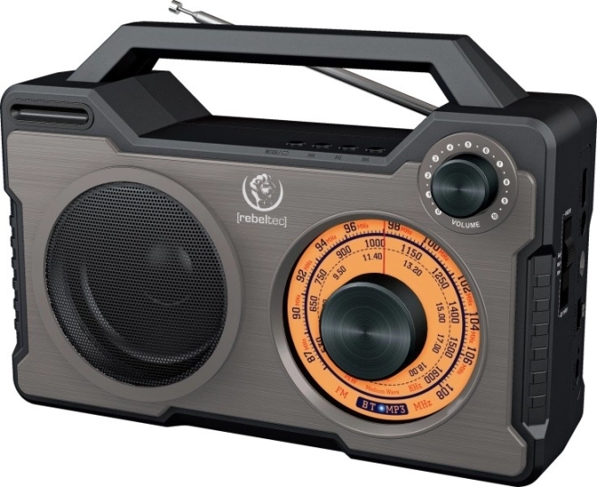Enceinte Bluetooth portable et radio RODOS