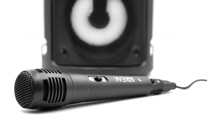 Haut-parleur Bluetooth Harmony avec fonction karaoké