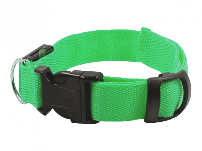 Collier lumineux LED pour chiens et chats réglable 59 cm
