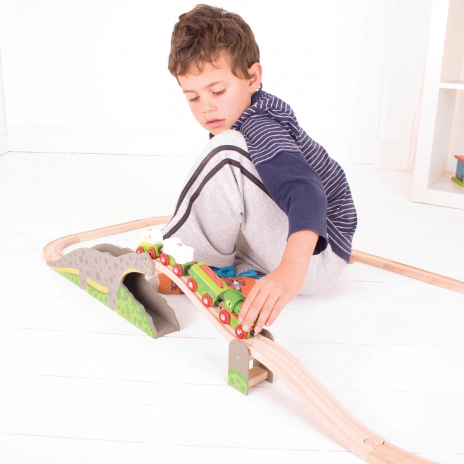 Bigjigs Rail Pont Dino