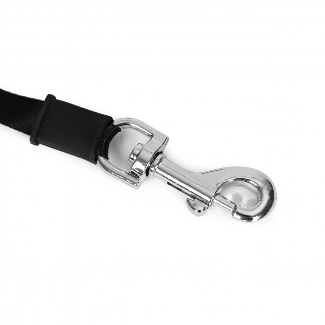 Laisse automatique de 4,2 m de long pour chien ou chat avec verrou