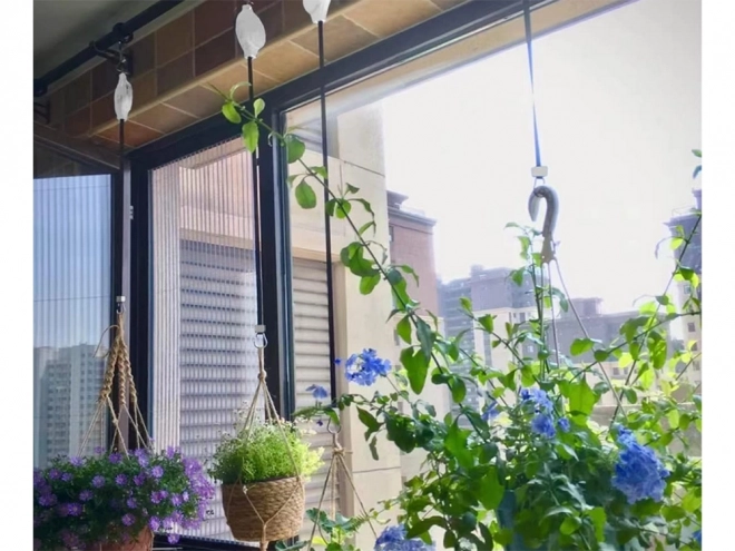 Crochet de plantes avec poignée télescopique