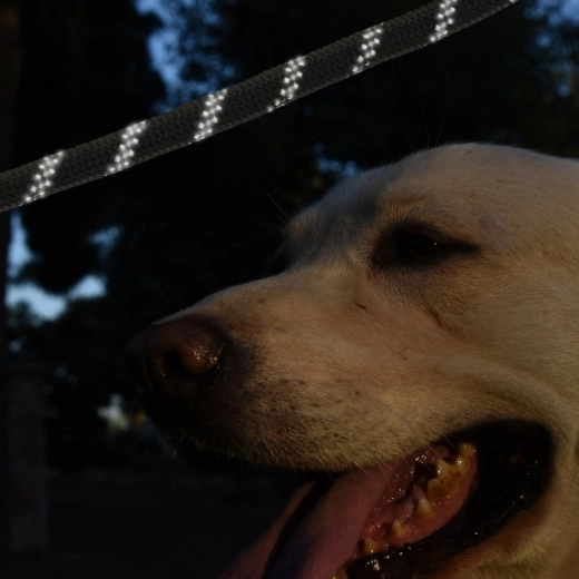 Sécurité réfléchissante au crépuscule