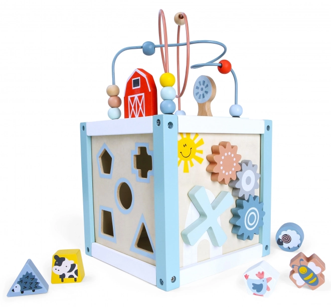Tri de cubes en bois avec blocs Ecotoys