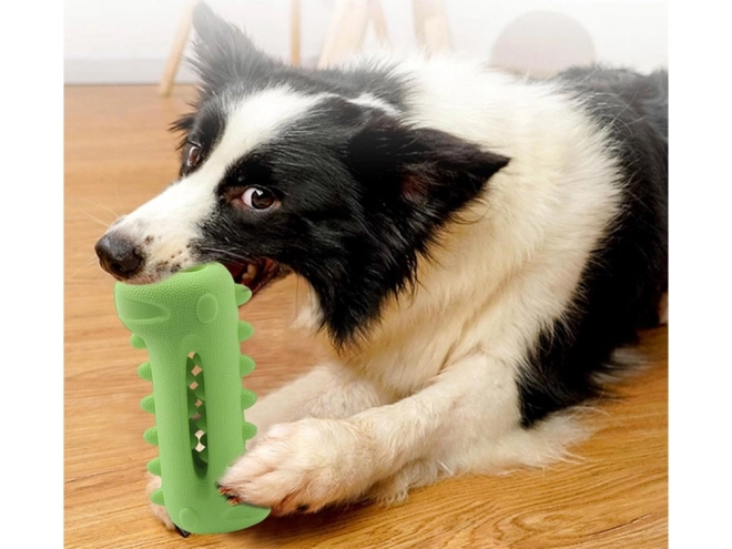 Jouet à mâcher pour le nettoyage des dents des chiens