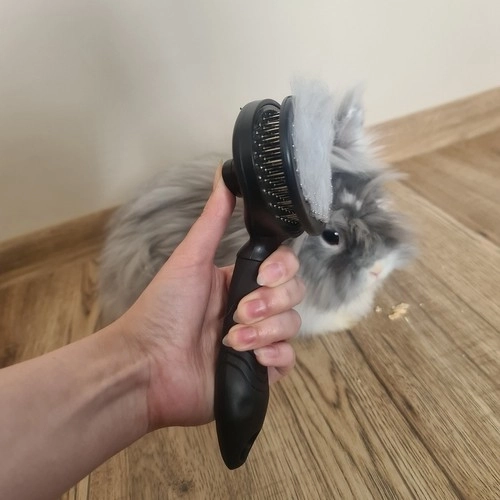 Brosse à poils pour chats
