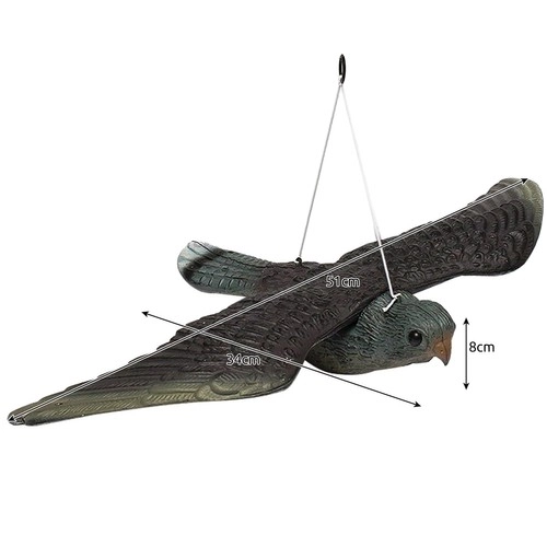 Attrape-Faucon pèlerin - Répulsif à oiseaux