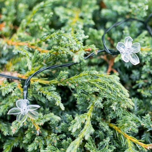 Design floral et effet coloré