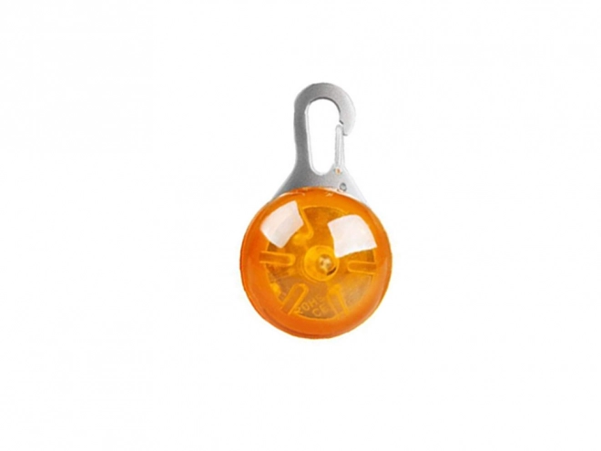 Pendentif lumineux pour colliers de chiens et chats