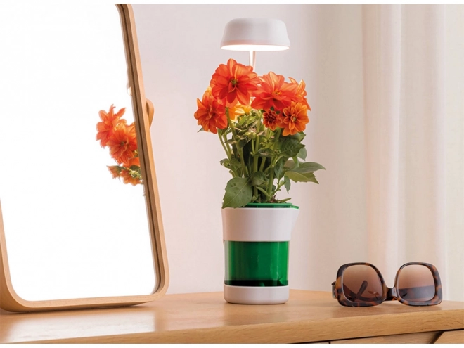 Lampe pour plantes avec lumière à spectre complet et pot à irrigation automatique