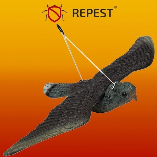 Attrape-Faucon pèlerin - Répulsif à oiseaux