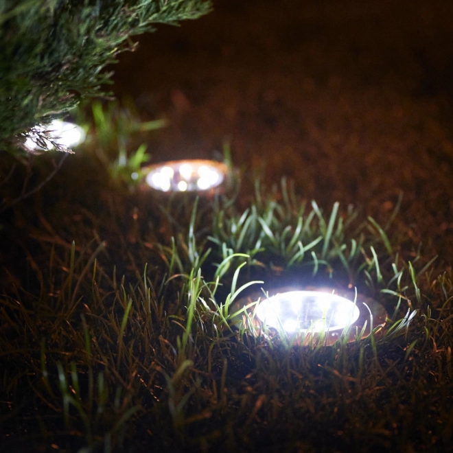 Éclairage LED de jardin solaire - 12 pièces