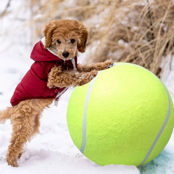 Balle de tennis géante pour chiens