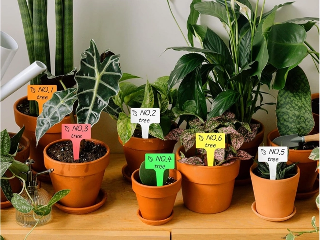 Ensemble de 50 étiquettes en plastique pour plantes