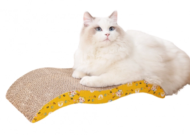 Griffoir écologique en carton et lit pour chats
