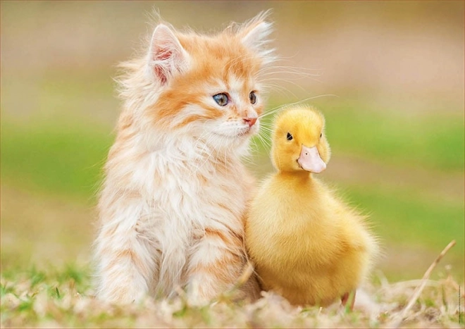 Puzzle des amis mignons Educa 500 pièces