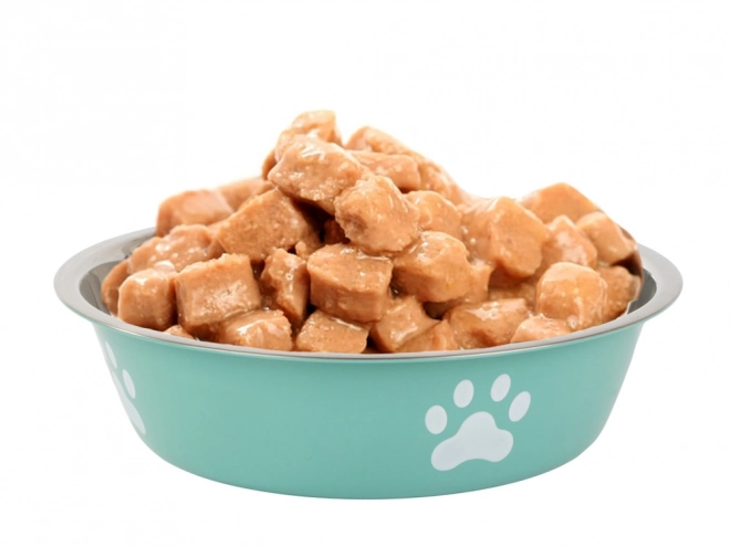 Grande gamelle en métal pour chiens et chats