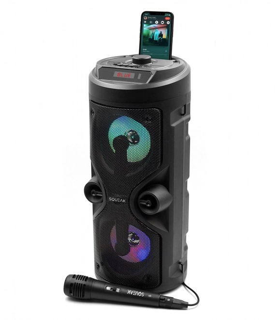 Haut-parleur Bluetooth Harmony avec fonction karaoké