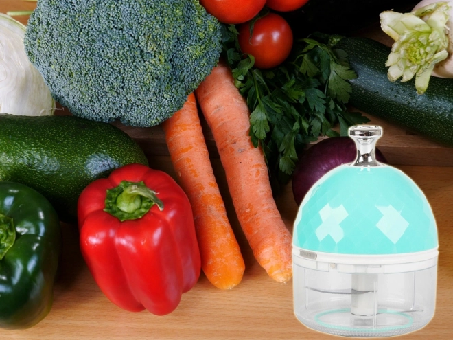 Hachoir de cuisine électrique