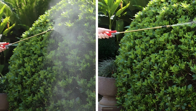 Pulvérisateur à pression manuelle de jardin MultiGarden 5L