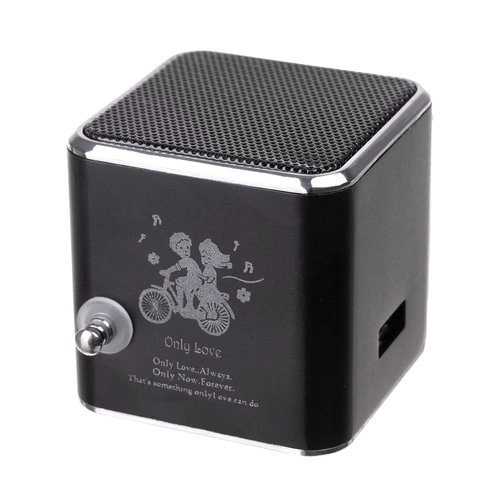 Haut-parleur Bluetooth portable avec radio et écran LCD TD-V26