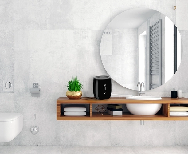 Déshumidificateur avec tuyau de drainage
