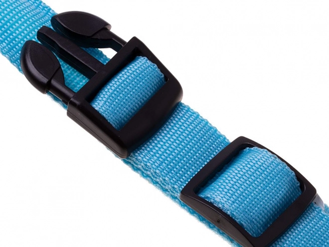 Collier LED réglable pour chiens et chats
