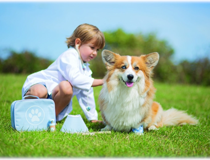 Favorise l’empathie et le jeu de rôle