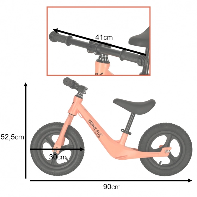 Draisienne Trike Fix Active X2