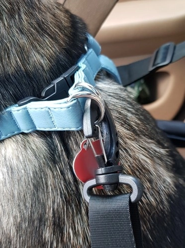 Boîte de transport Purlov pour animaux dans la voiture