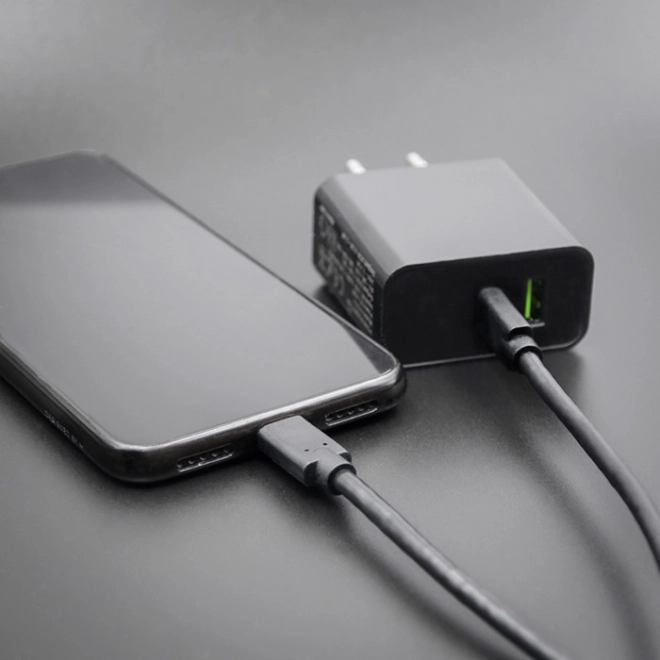 Câble USB-C à USB-C pour transfert de données et chargement, 3m, noir