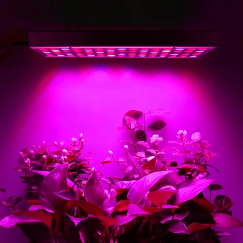 Lampe/Panneau 225 LED pour la croissance des plantes. 23525