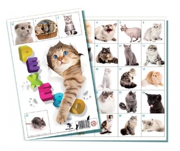 Pexeso Chats jeu de société 32 paires d'images