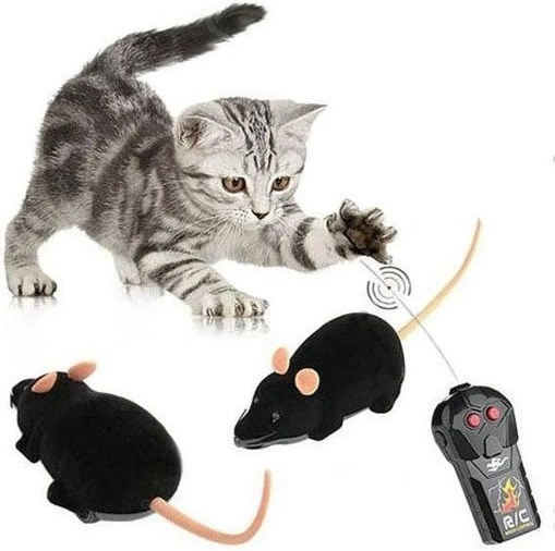 Amusement pour les chats et toute la famille
