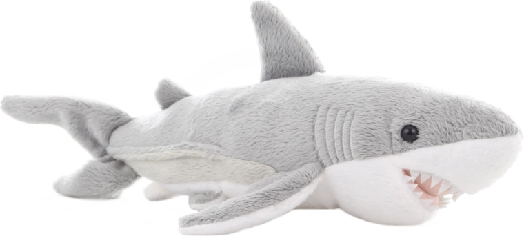 Aspect réaliste et néanmoins amical