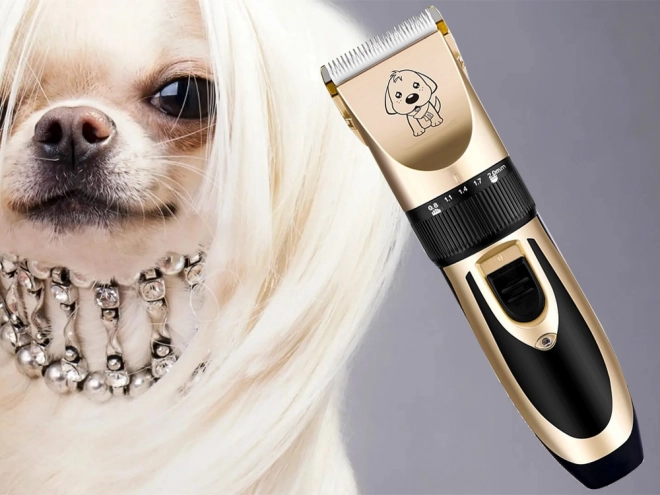 Ensemble de ciseaux pour couper les chiens