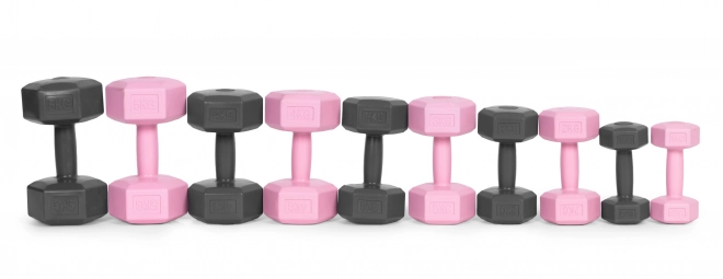 Haltères hexagonales 2x4 kg grises ModernHome